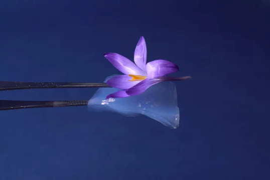 Aerożel (Aerogel) – Nanotechnologia jako izolacja termiczna