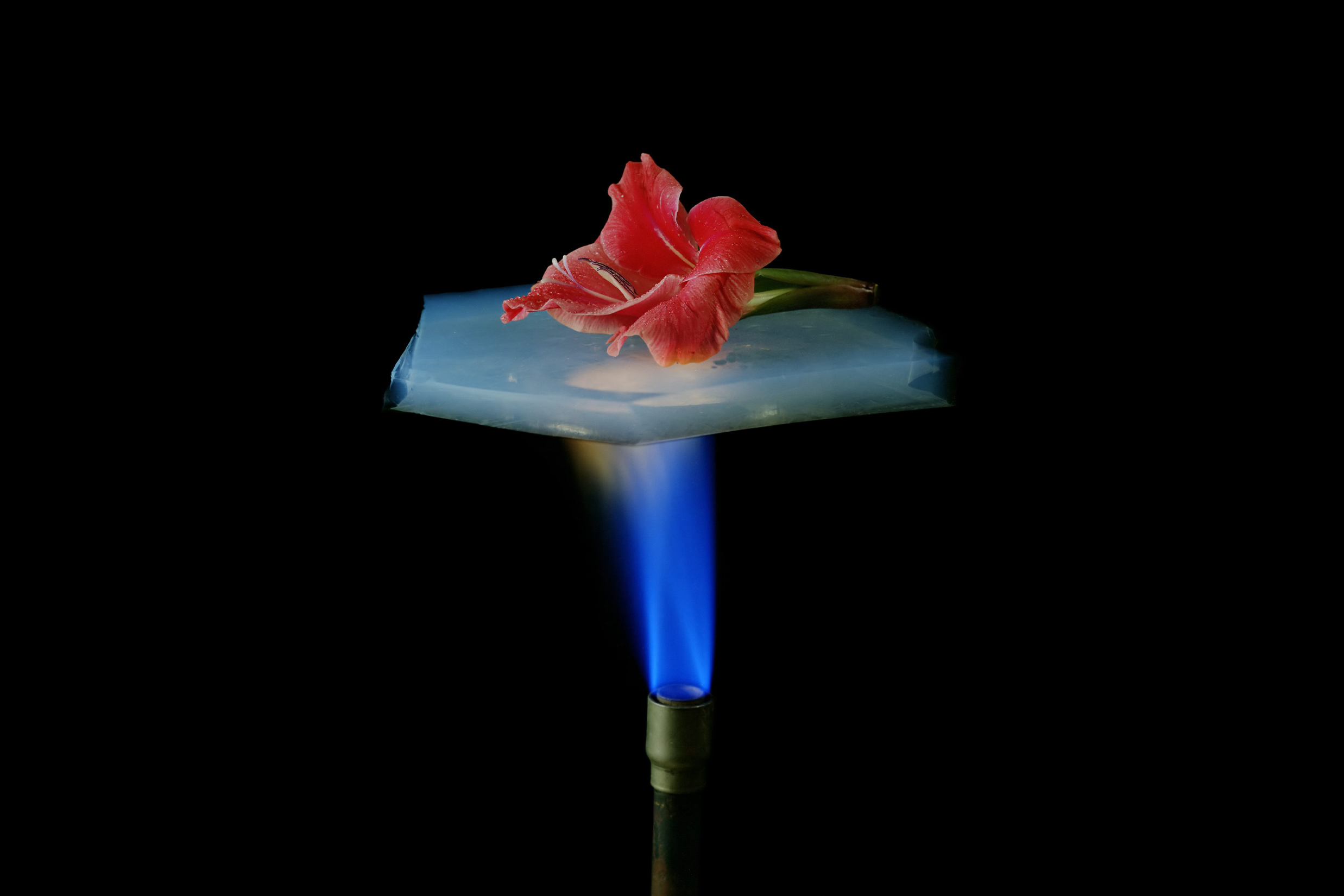 Aerożel (Aerogel) – nowoczesna izolacja termiczna?